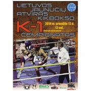 2014 m. Atviras Lietuvos jaunučių kikbokso čempionatas